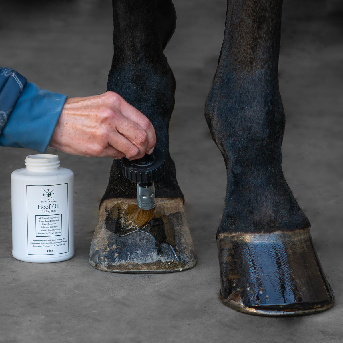 Hoof Oil for Horses