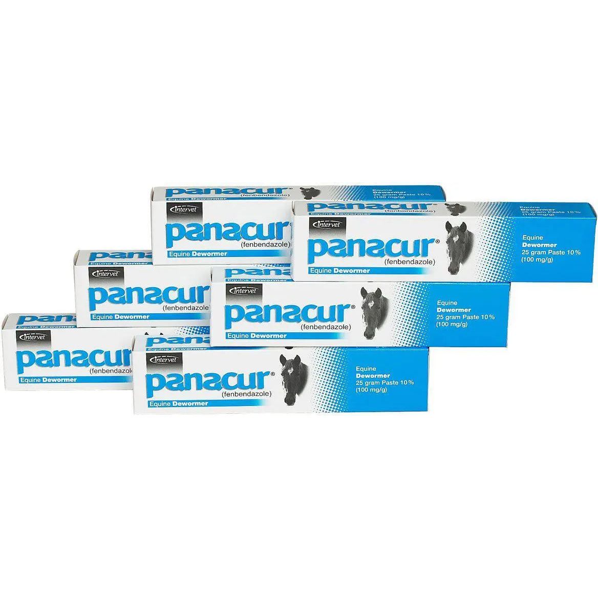 Panacur Equine Paste 10% Horse Wormer 100mg 1 x 25 Grams
