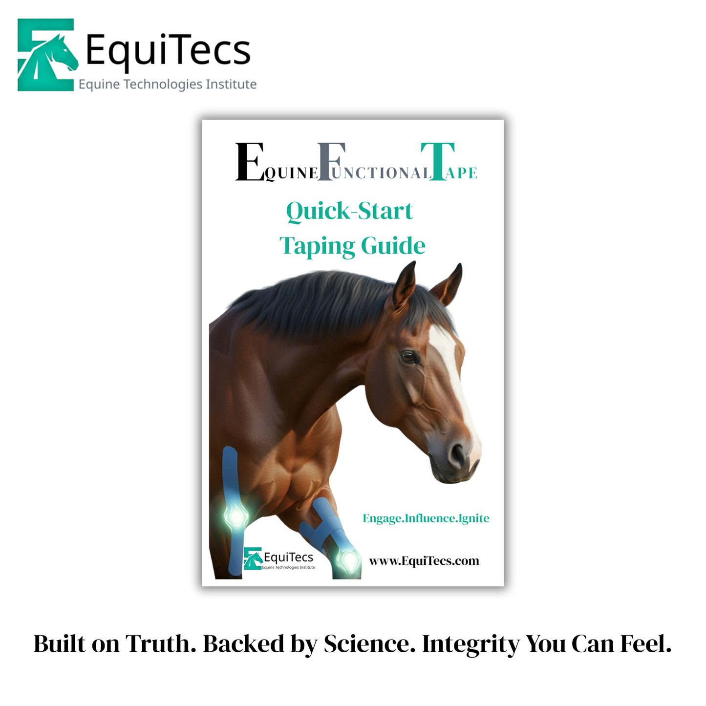 Horse Taping Quick Start Guide — 6 Core EFT Applications