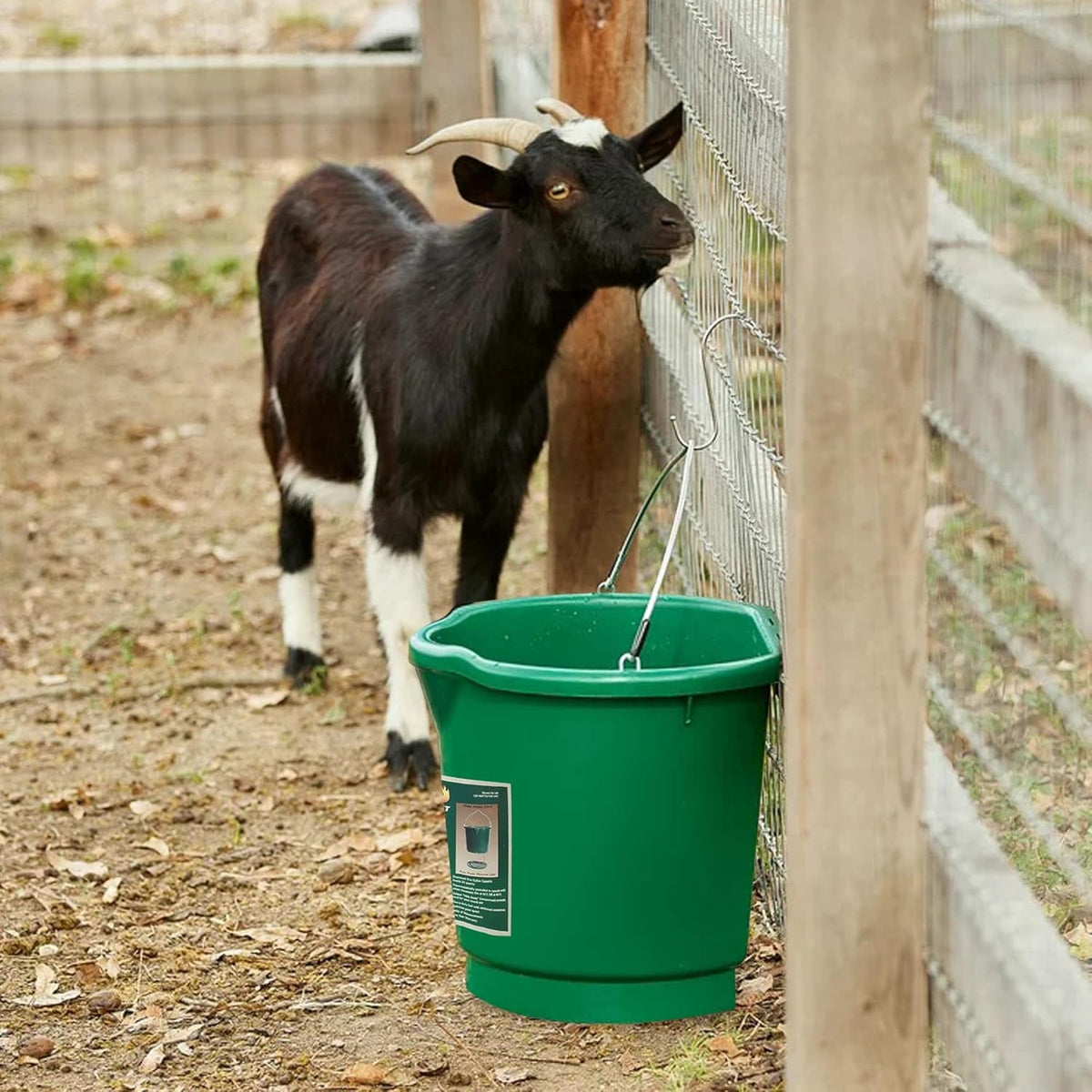 Inc. Heated Water Bucket with Flat Back & Built-In Thermostat, 5 Gallon, Green