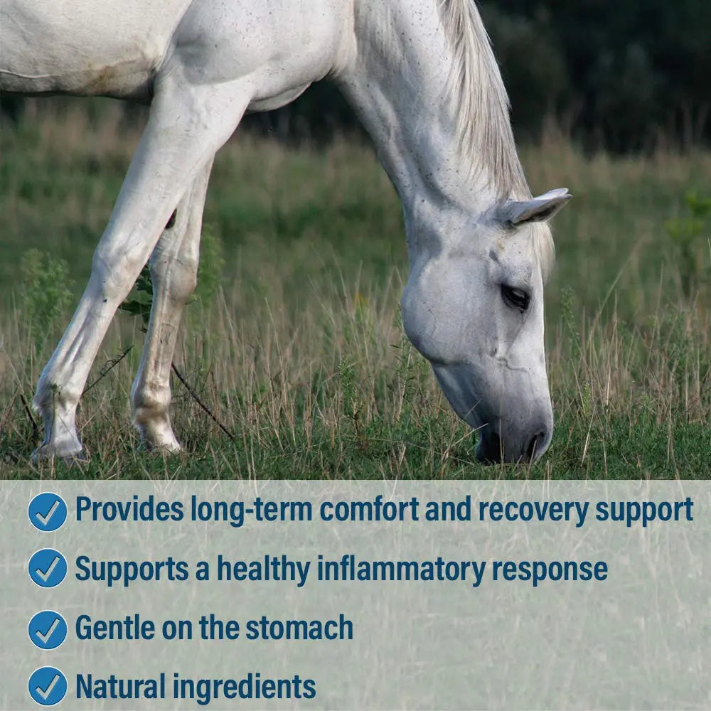 Absorbine Bute-Less Comfort & Recovery Support Pellets 10 lb / 160 Day Supply