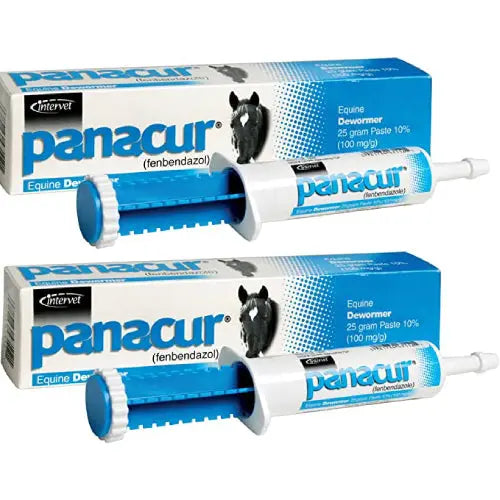 Panacur Equine Paste 10% Horse Wormer 100mg 1 x 25 Grams