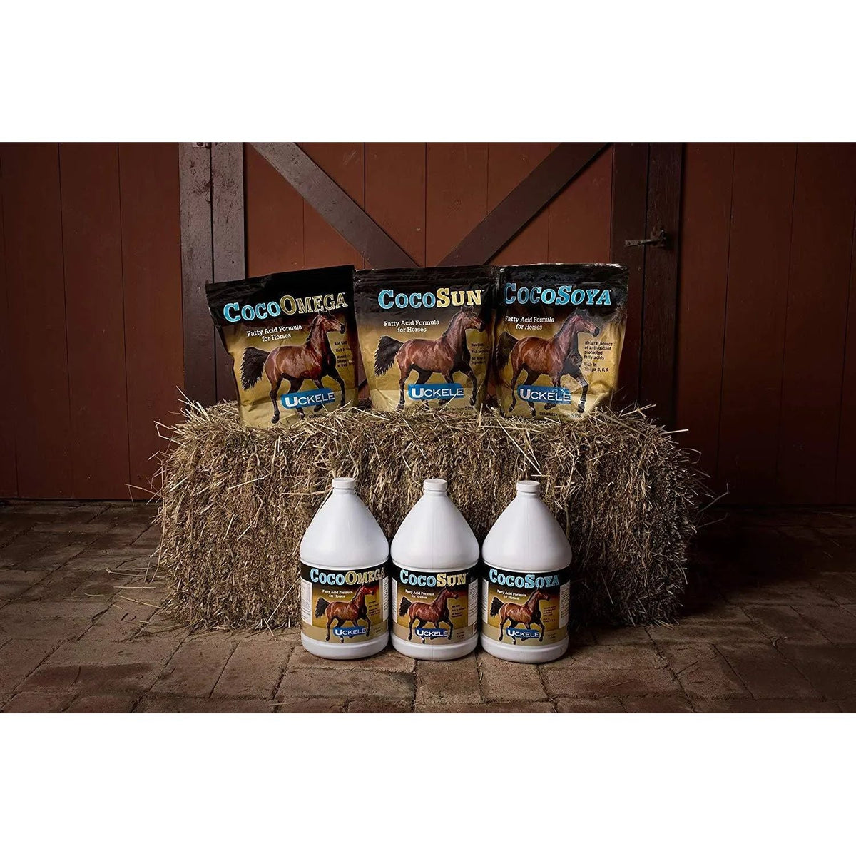 Uckele Cocosoya Oil 1 Gallon Horse Supplement Cool Calories Omega Coat & Hoof