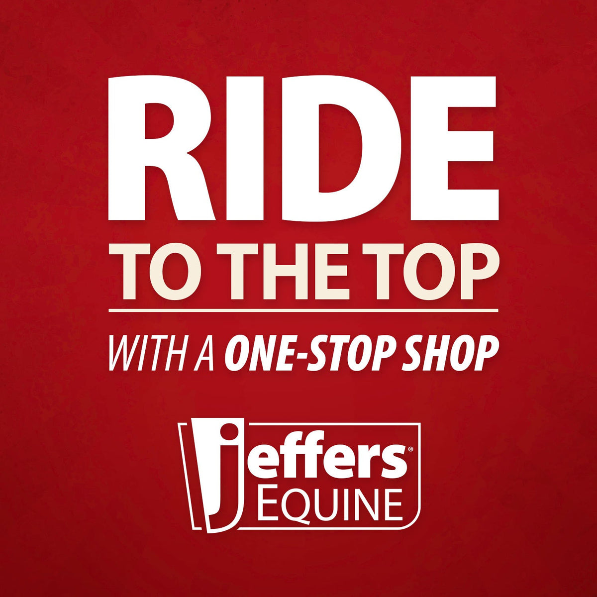 Jeffers Expression 1200 Denier Standard Neck Turnout Horse Blanket, 240 Gram